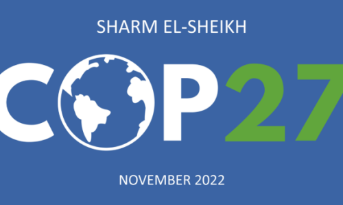 COP27: An Overview