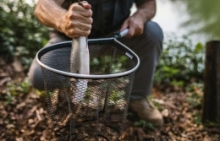 How Your Company Grows is Your Decision, Here’s Why
